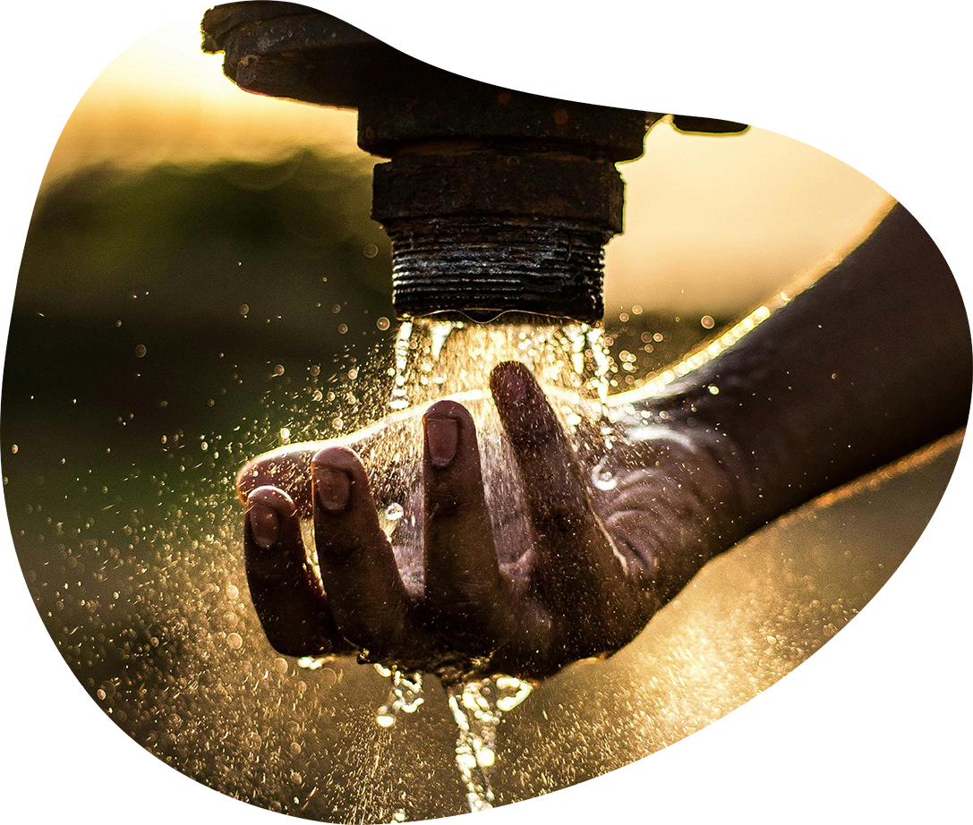 pexels-tasveerwala-2837863-