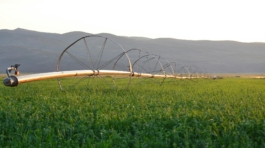 آبرسانی کدکن و تجهیز چاه شماره ۲